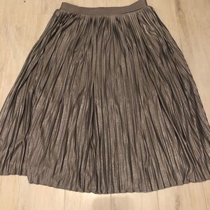 Silver Pleated Skirt
